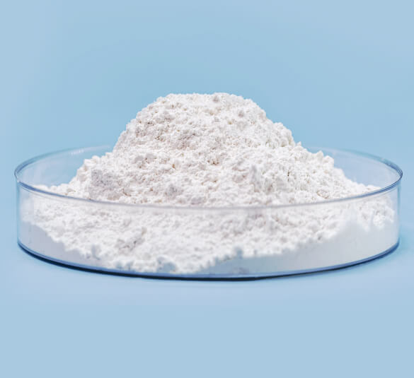 Manufacturer and Exporter of Methylsulfonylmethane for Animals