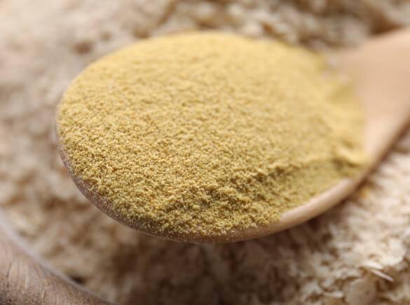 Manufacturer and Exporter of Yeast Extract Powder for Animals