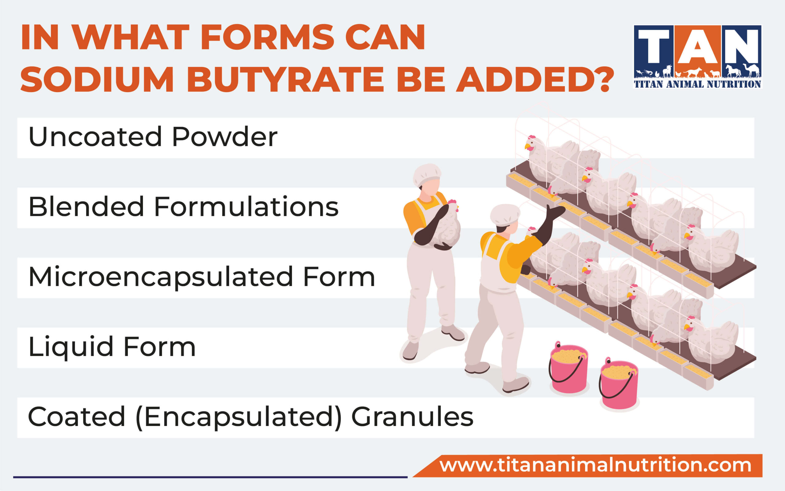 In What Forms Can Sodium Butyrate Be Added?
