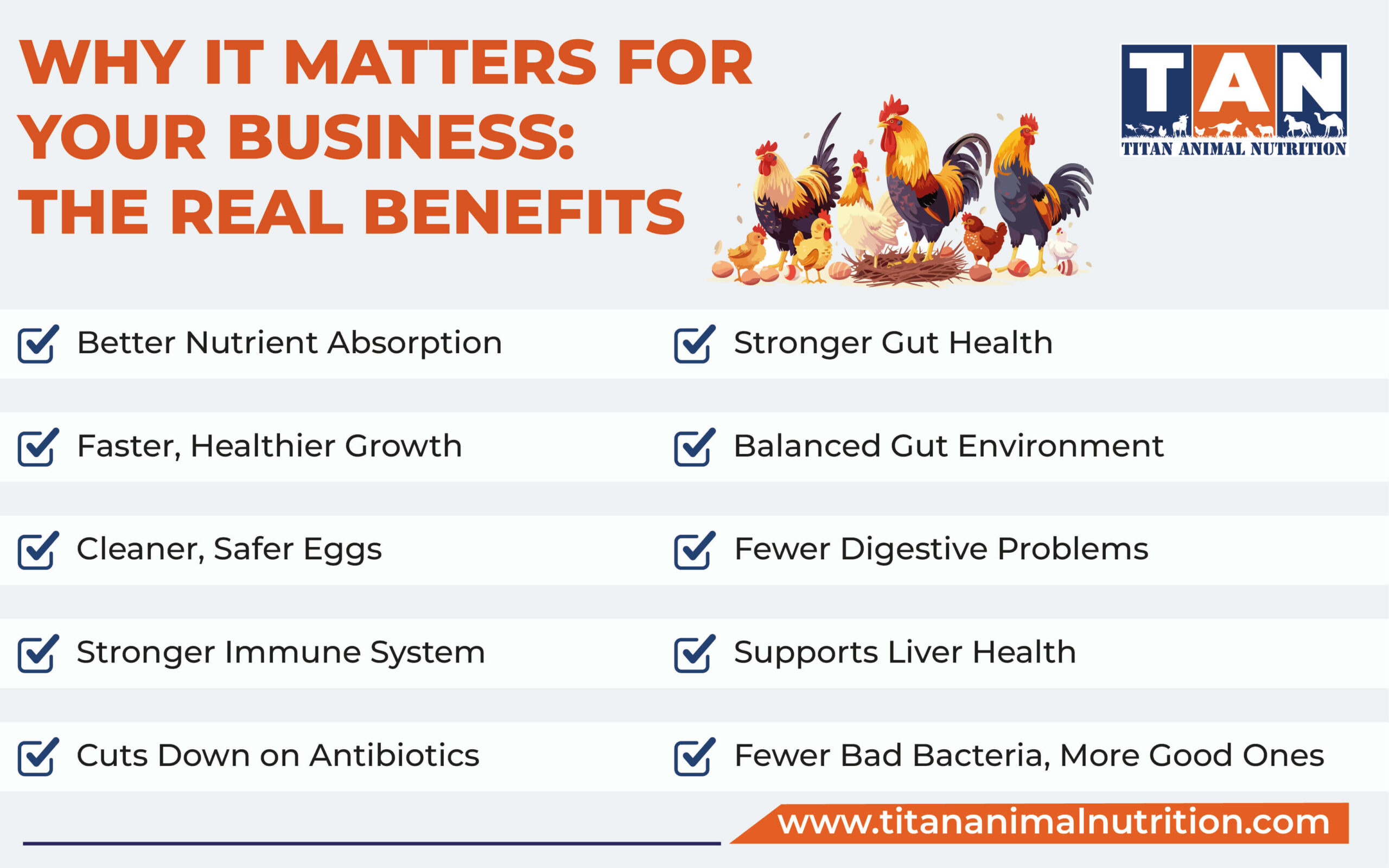 Why It Matters for Your Business: The Real Benefits