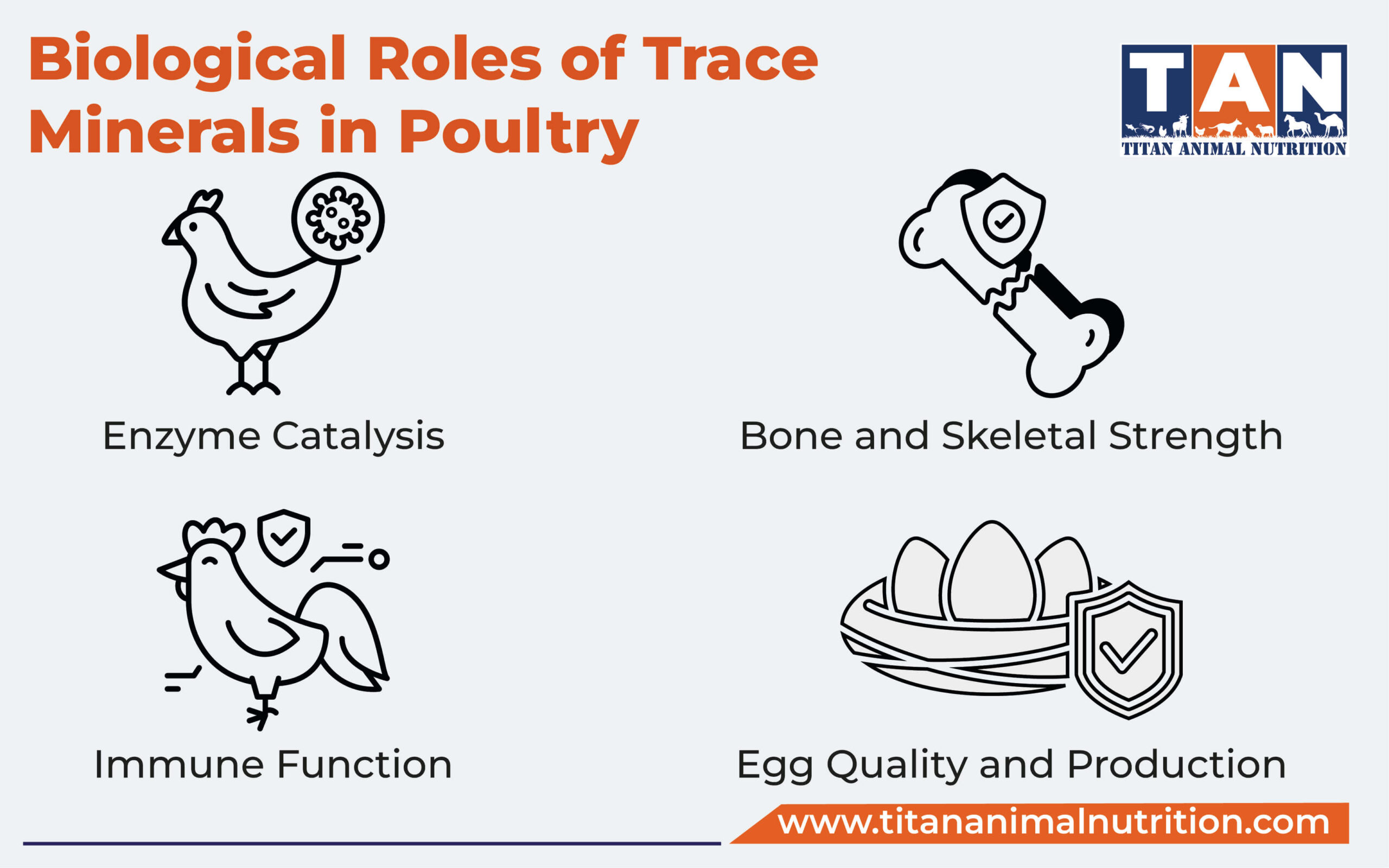Biological Roles of Trace Minerals in Poultry Biological Roles of Trace Minerals in Poultry