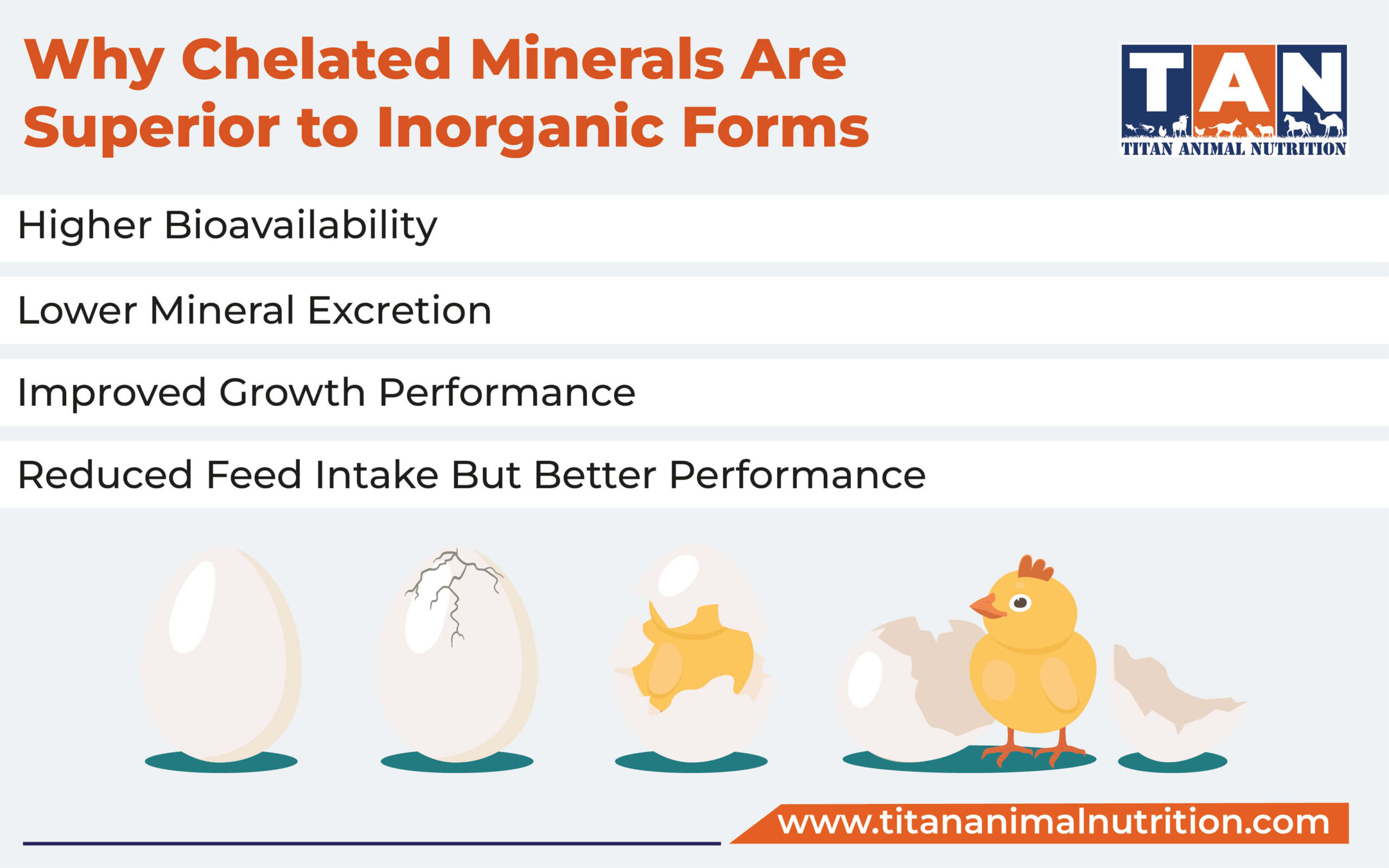 Why Chelated Minerals Are Superior to Inorganic Forms Why Chelated Minerals Are Superior to Inorganic Forms