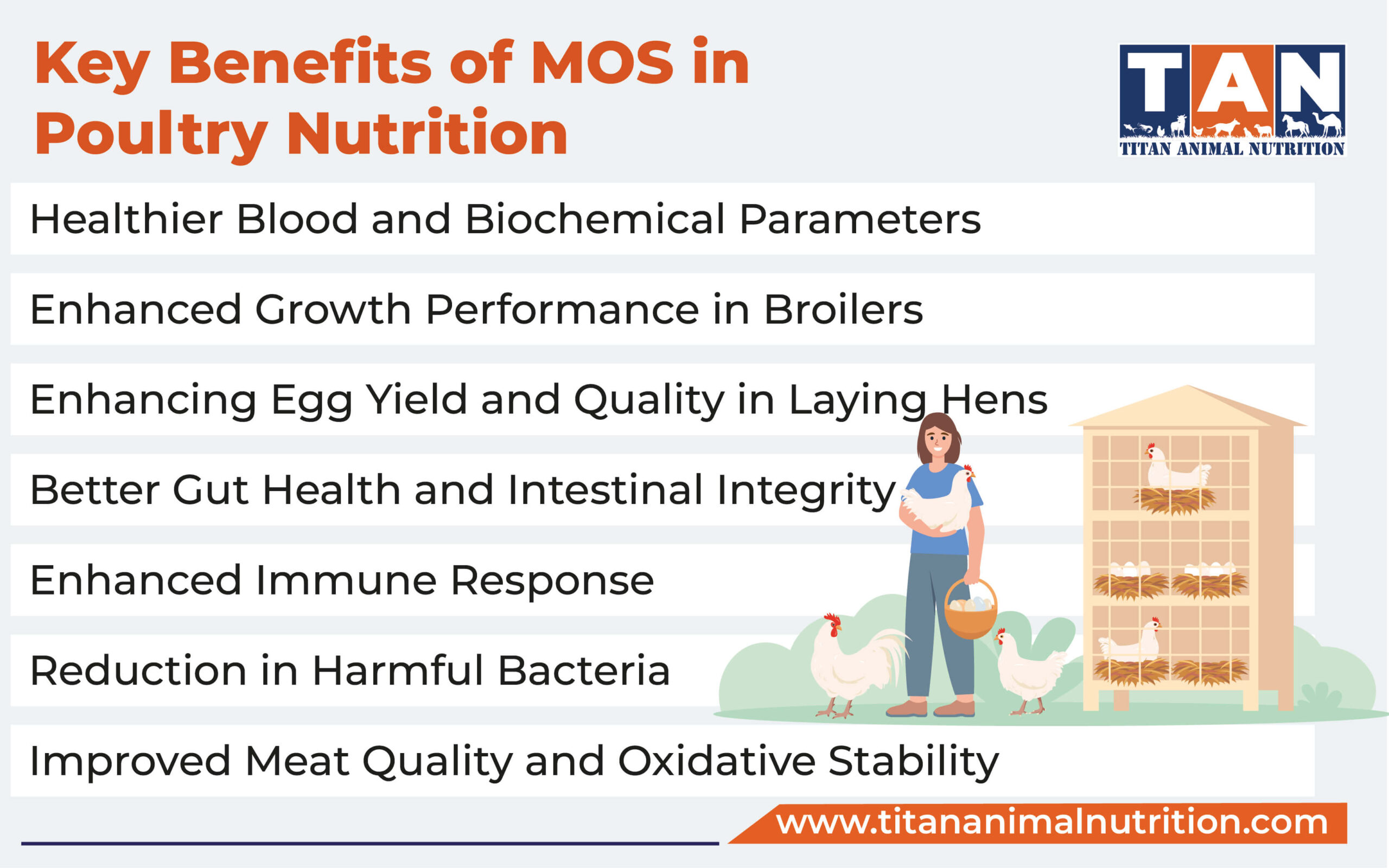 Key Benefits of MOS in Poultry Nutrition