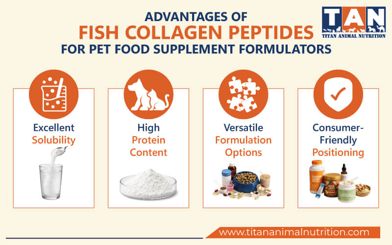 Advantages of Fish Collagen Peptides for Pet Supplement Formulators